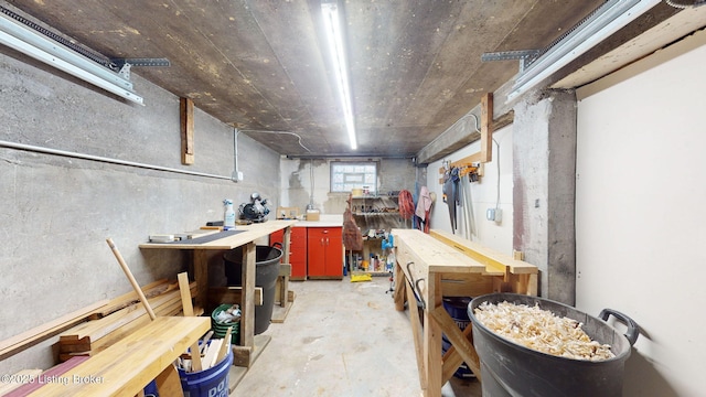 basement featuring a workshop area