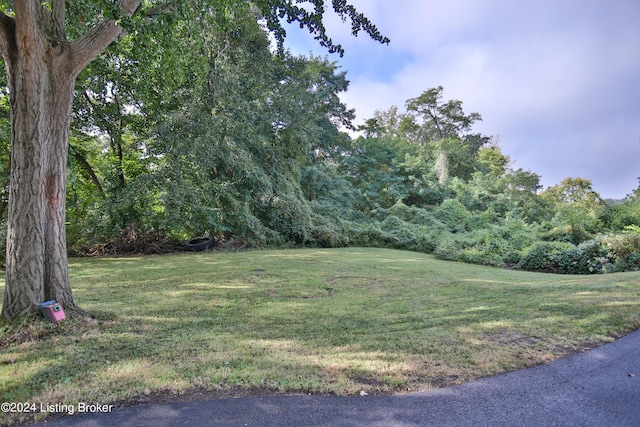 67 Warren Rd, Louisville KY, 40206 land for sale