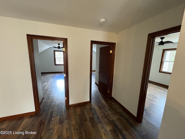 hallway with dark hardwood / wood-style flooring