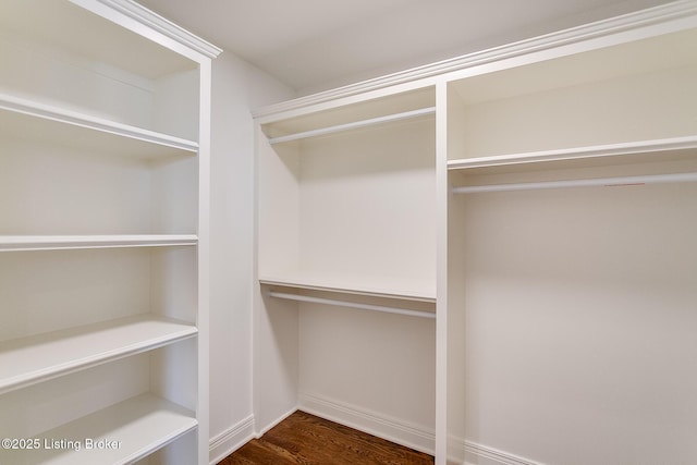 walk in closet featuring dark hardwood / wood-style floors