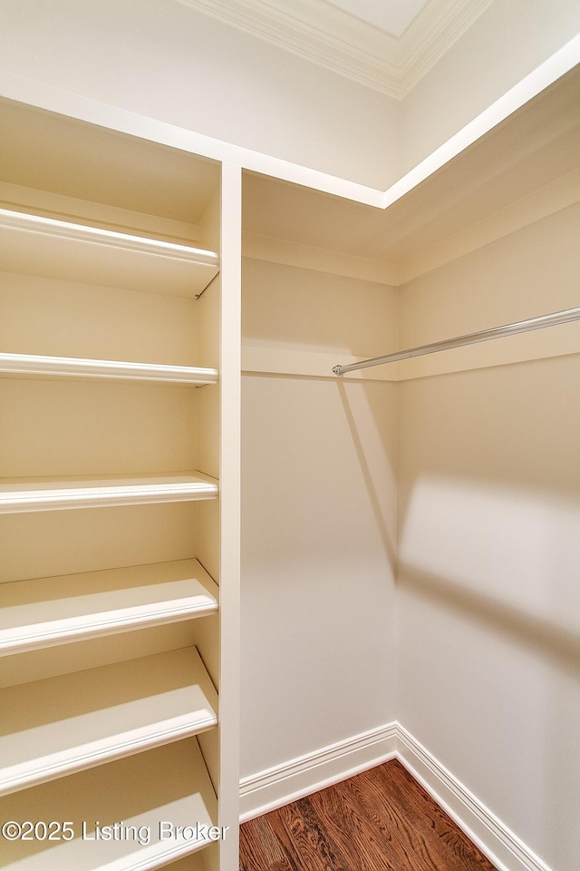 walk in closet featuring hardwood / wood-style flooring