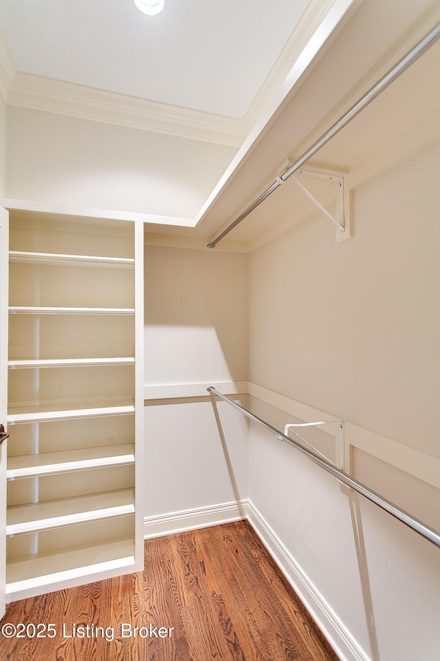 spacious closet featuring wood-type flooring