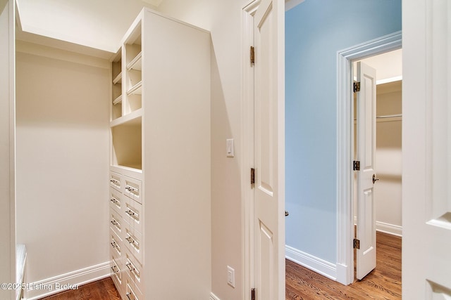 walk in closet with hardwood / wood-style flooring