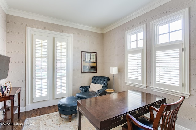 office area featuring crown molding and hardwood / wood-style floors