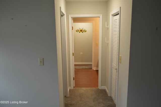 hallway featuring carpet