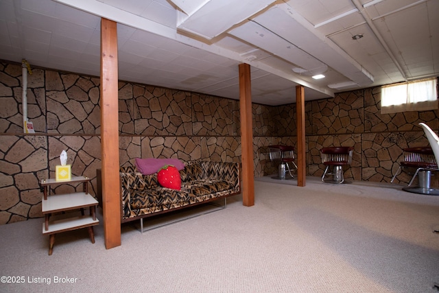 basement featuring carpet