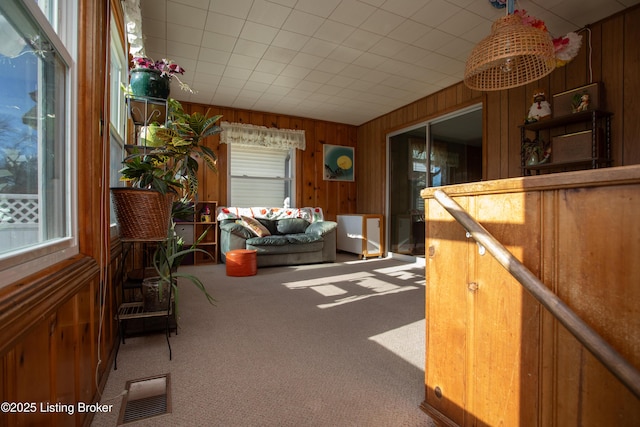 interior space featuring plenty of natural light, carpet flooring, and wood walls