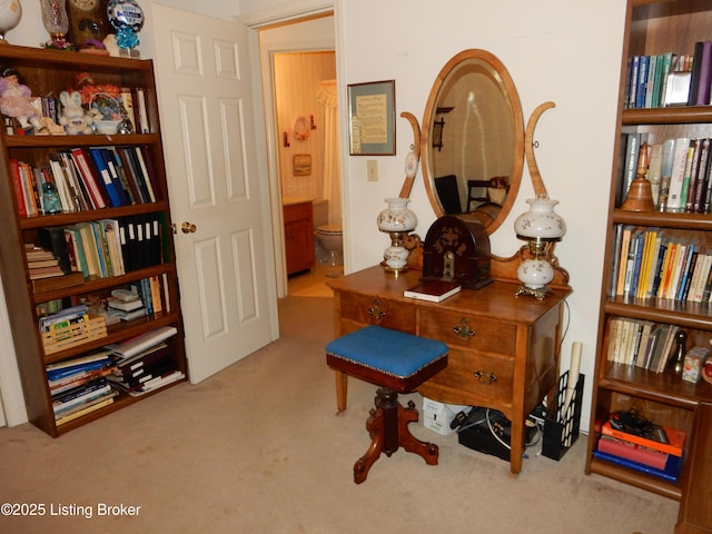 miscellaneous room featuring light carpet