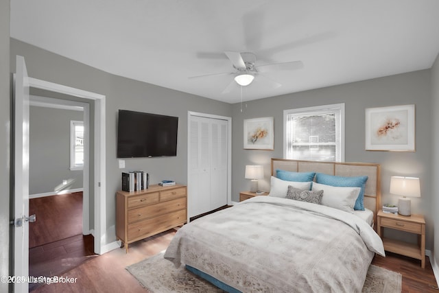 bedroom featuring dark wood-type flooring, ceiling fan, and a closet