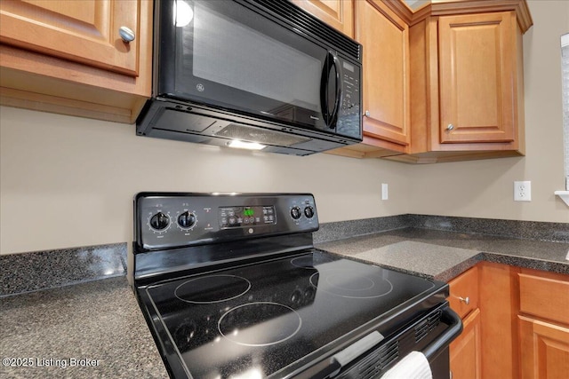 kitchen with black appliances