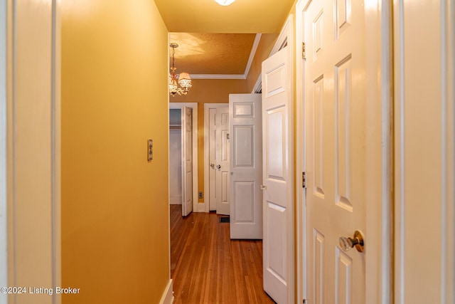 hall with hardwood / wood-style floors and ornamental molding