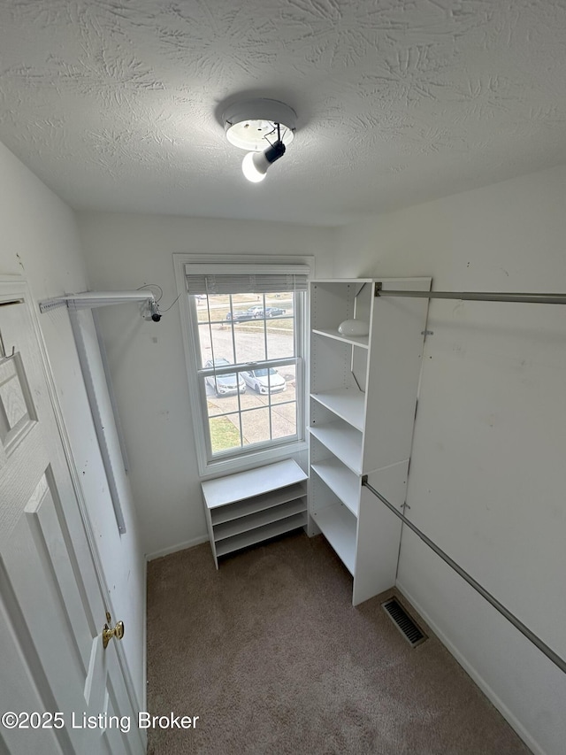 walk in closet featuring carpet