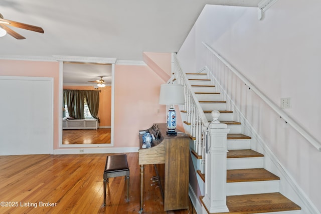 staircase with wood-type flooring, ceiling fan, and crown molding