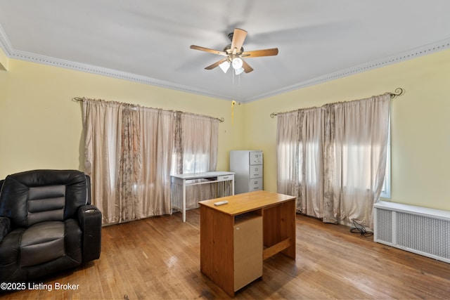 home office with radiator heating unit, ornamental molding, ceiling fan, a healthy amount of sunlight, and light hardwood / wood-style flooring