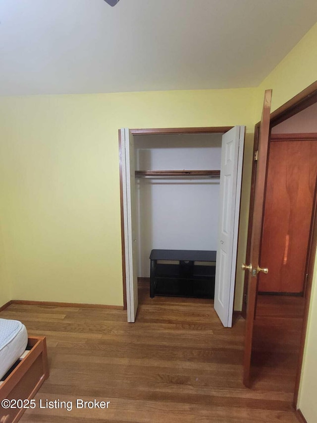 unfurnished bedroom featuring wood-type flooring