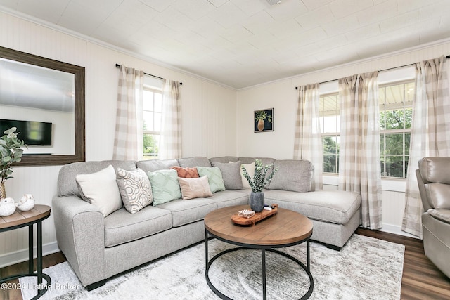 living room featuring ornamental molding, a healthy amount of sunlight, and hardwood / wood-style floors