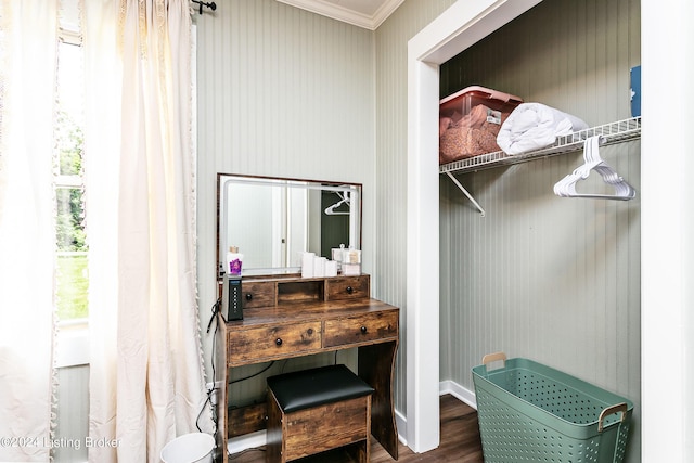 walk in closet featuring dark hardwood / wood-style floors