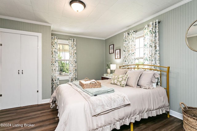 bedroom with multiple windows, crown molding, dark wood-type flooring, and a closet