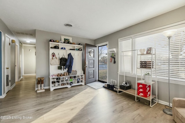 mudroom featuring hardwood / wood-style floors