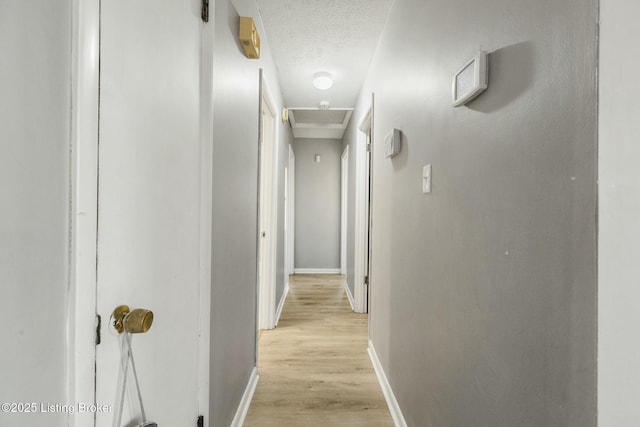 hall featuring light hardwood / wood-style floors and a textured ceiling