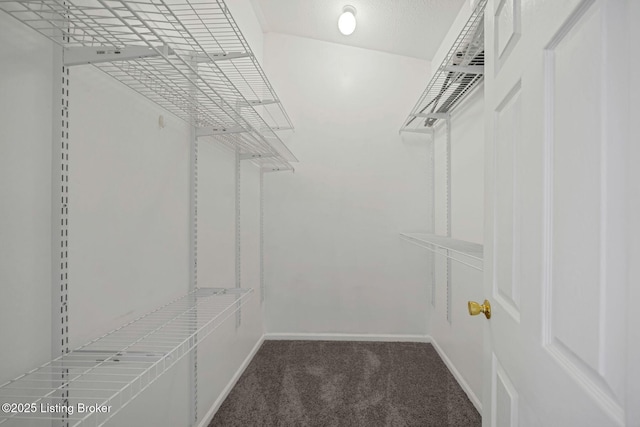 spacious closet featuring carpet flooring