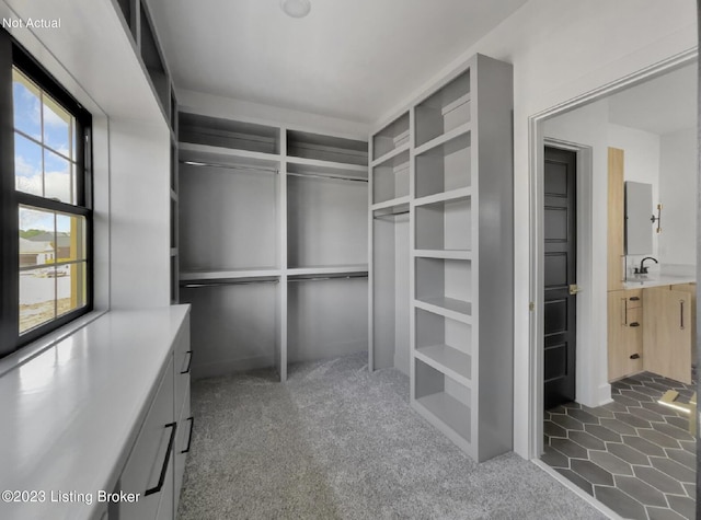 spacious closet featuring dark carpet and sink