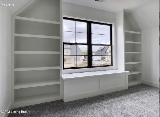 bonus room featuring built in shelves and carpet floors