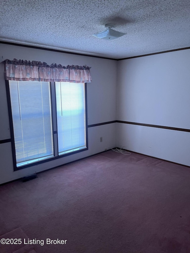 spare room with carpet and a textured ceiling