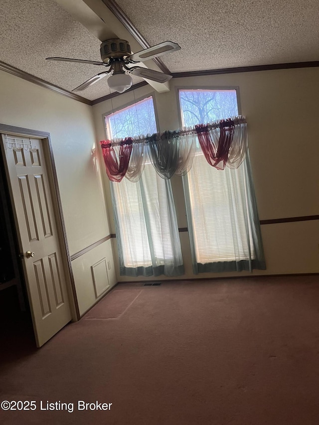 carpeted spare room with crown molding, a healthy amount of sunlight, and a textured ceiling