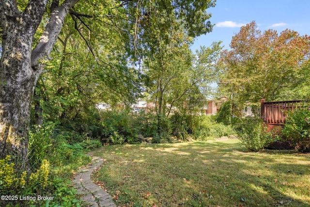 view of yard with a wooden deck