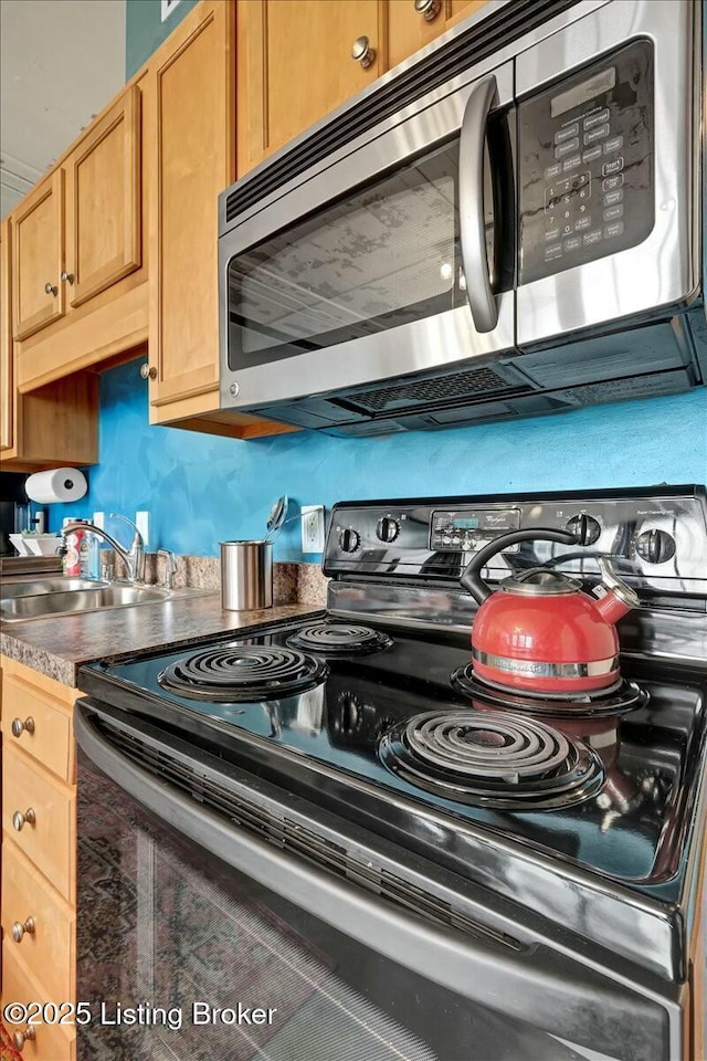 kitchen featuring electric stove and sink