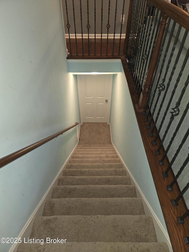 stairs with carpet flooring