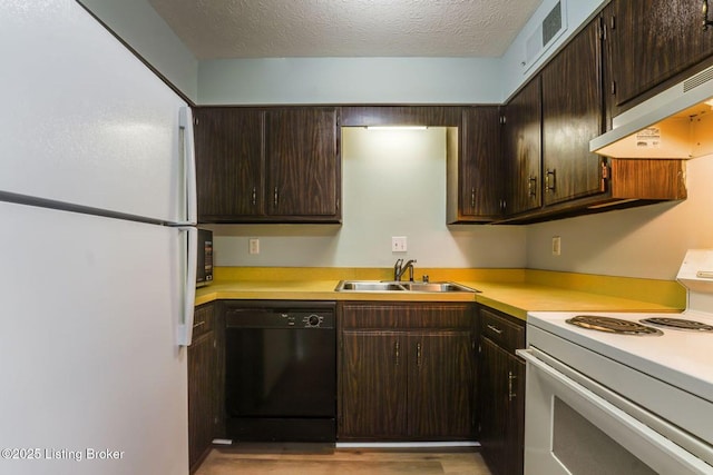 kitchen with under cabinet range hood, white appliances, a sink, visible vents, and light countertops