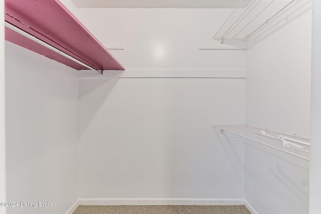 spacious closet with carpet floors