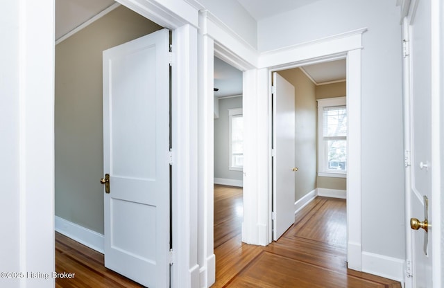 corridor featuring crown molding and hardwood / wood-style floors