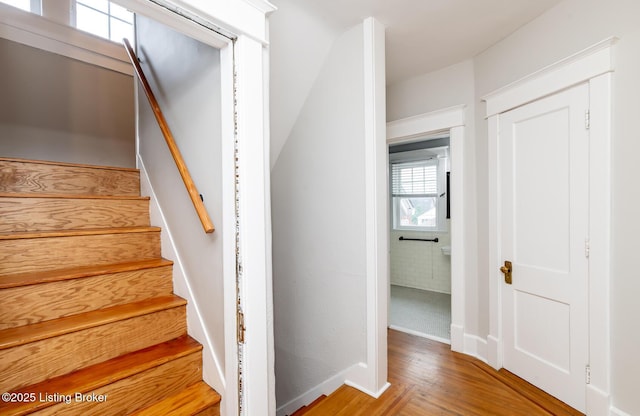 stairway featuring wood-type flooring