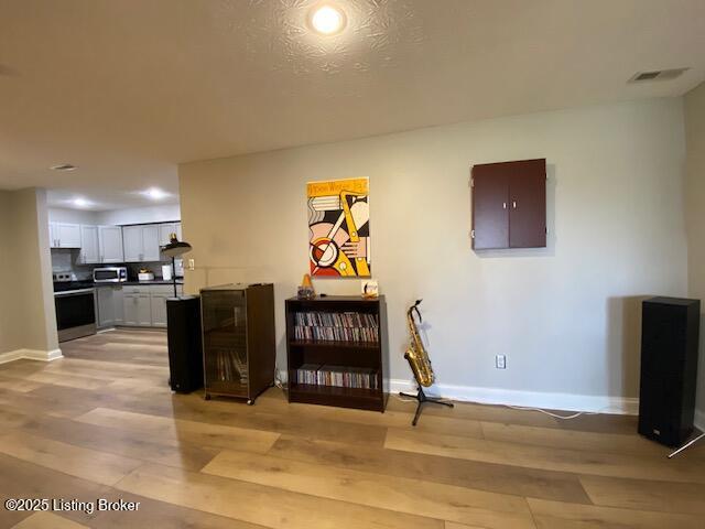 interior space featuring light hardwood / wood-style floors and electric panel