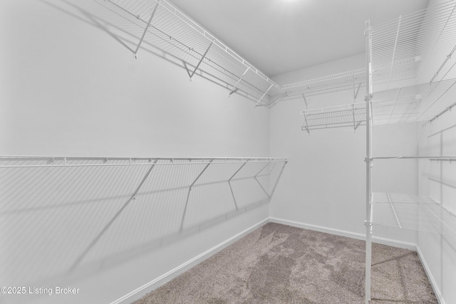 7036 Train Station Way, Louisville, KY 40272 - photo 24