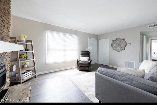 living room with wood-type flooring and a fireplace