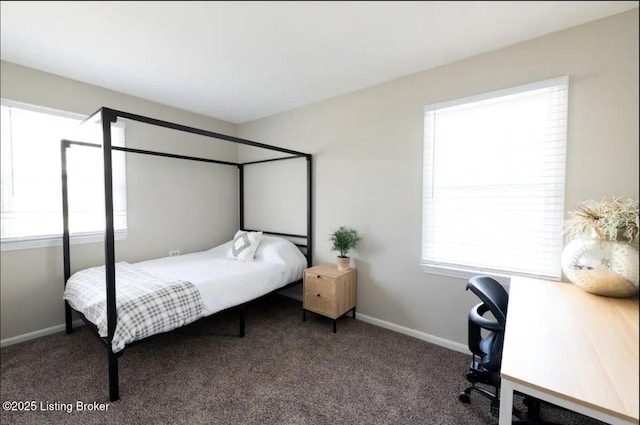 bedroom featuring multiple windows and carpet floors