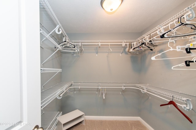 110 E Mandarin Ct, Elizabethtown, KY 42701 - walk in closet featuring carpet floors