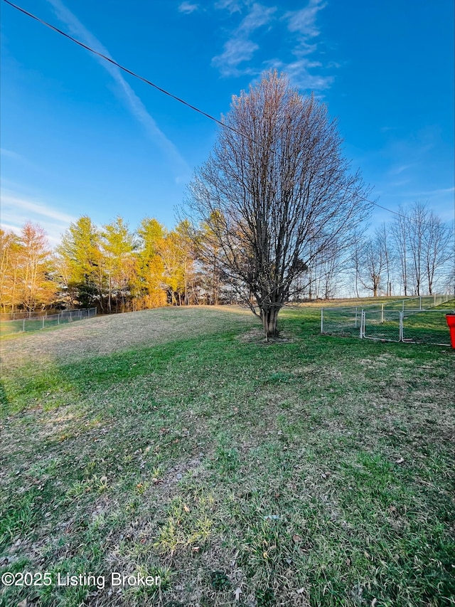223 Lea Ct, Rineyville, KY 40162 - view of yard with fence