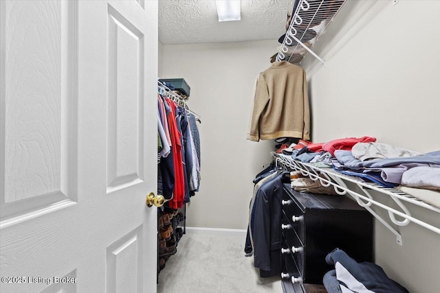 spacious closet with light colored carpet