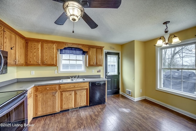 kitchen with brown cabinetry, black dishwasher, dark wood finished floors, and a sink