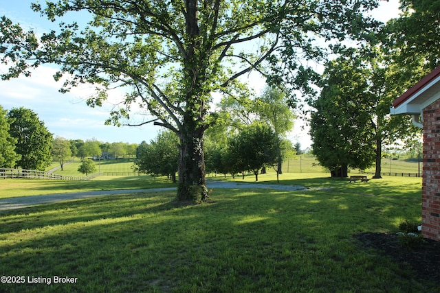 1472 Mulberry Pike, Eminence, KY 40019 - view of yard