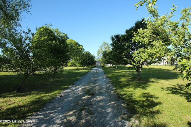 1472 Mulberry Pike, Eminence, KY 40019 - view of dirt / gravel driveway
