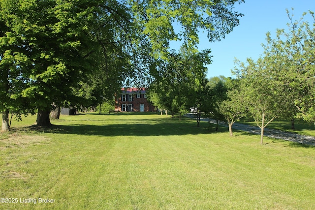 1472 Mulberry Pike, Eminence, KY 40019 - surrounding community featuring a lawn