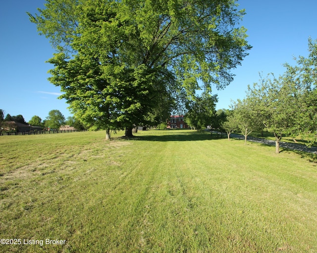 1472 Mulberry Pike, Eminence, KY 40019 - view of yard
