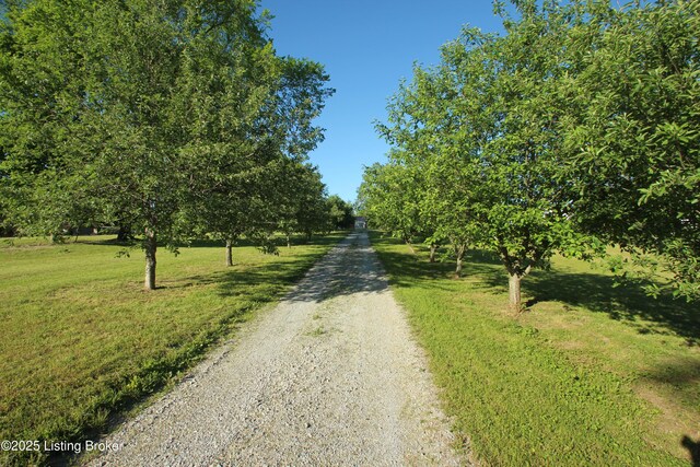 1472 Mulberry Pike, Eminence, KY 40019 - view of dirt / gravel road with a view of rural / pastoral area