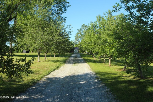 1472 Mulberry Pike, Eminence, KY 40019 - view of dirt / gravel road
